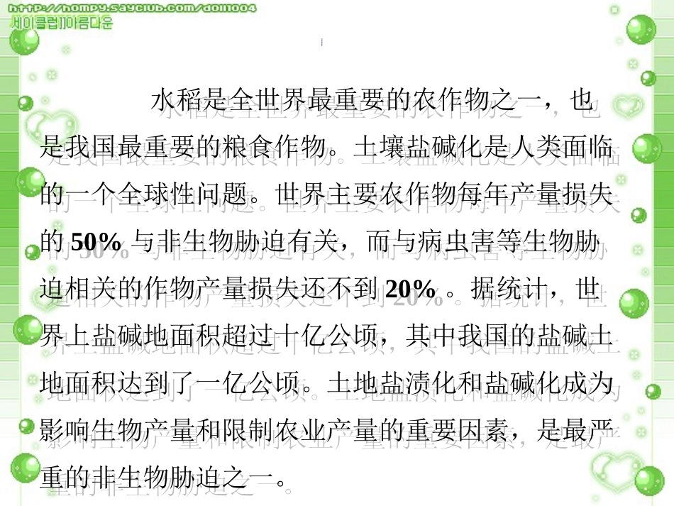 研究生开题报告2_第3页