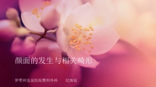 颜面的发生与相关畸形
