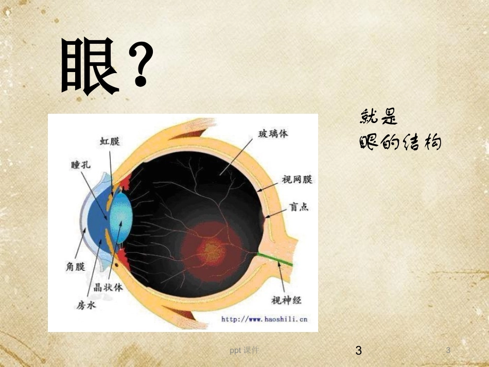 眼部给药课件_第3页