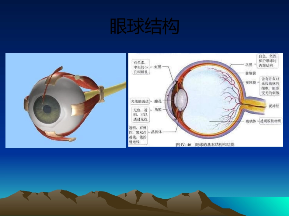 眼睛保健科普讲座课件_第2页