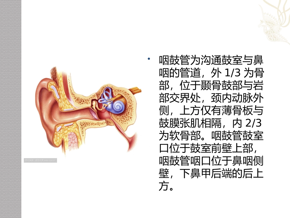 咽鼓管异常开放_第2页