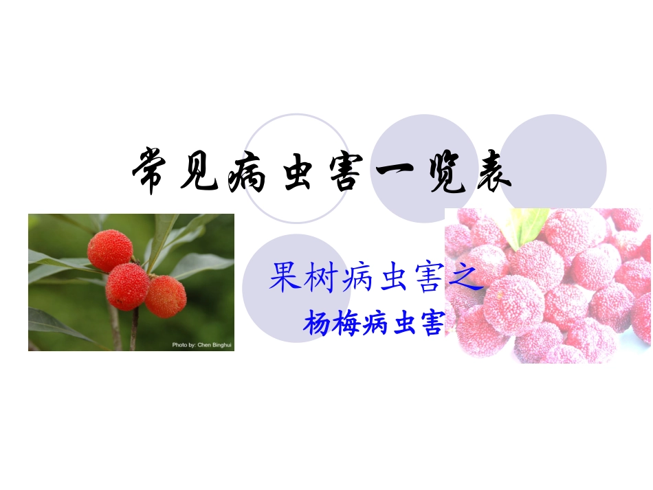 杨梅常见病虫害一览表_第1页