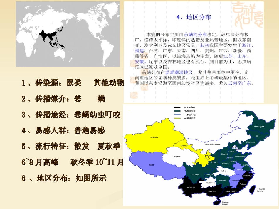 恙虫病的护理课件_第3页