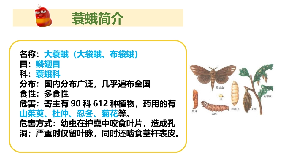 药用植物病虫害学蓑蛾简介_第2页