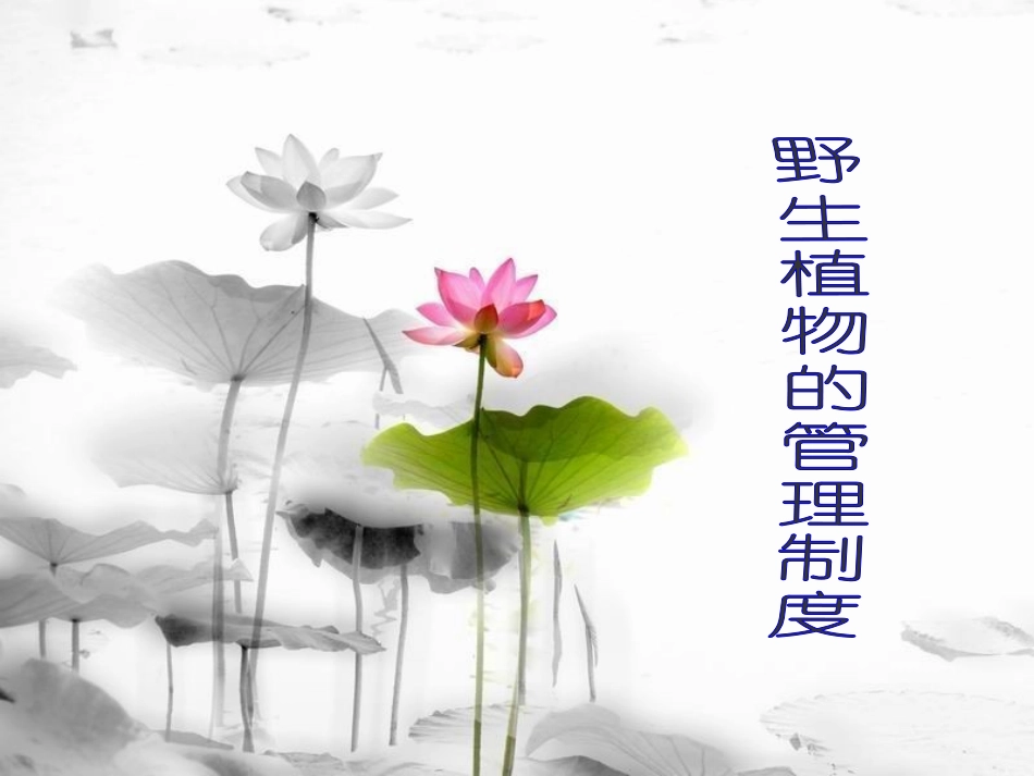 野生植物的管理制度_第1页