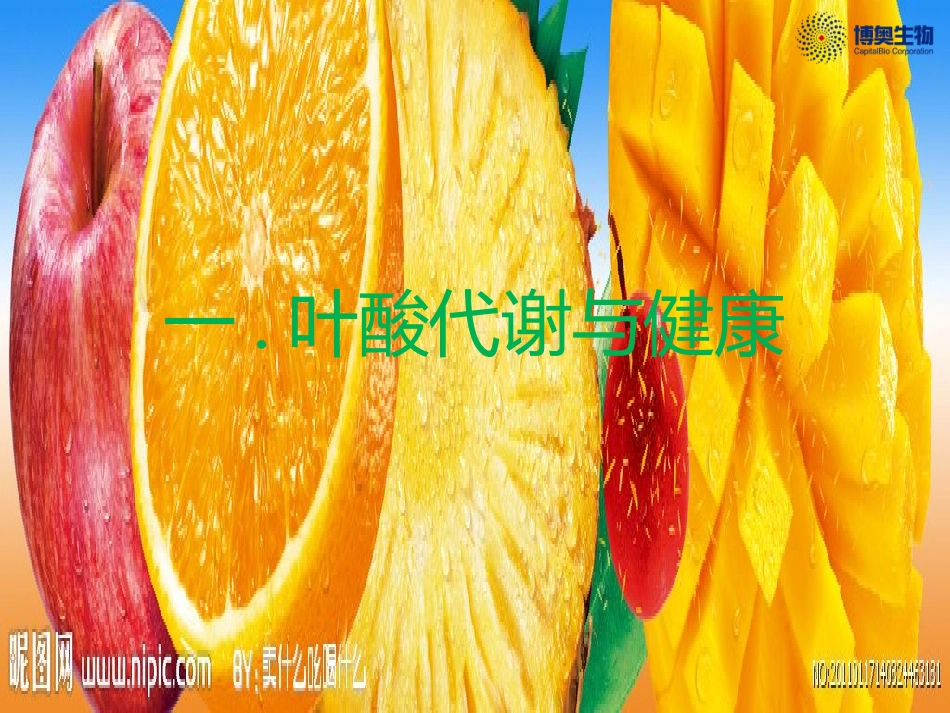 叶酸代谢课件_第1页