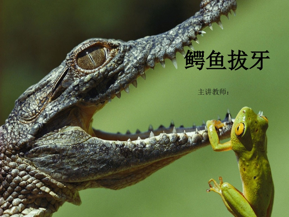 一年级下册美术课外班鳄鱼拔牙_第1页