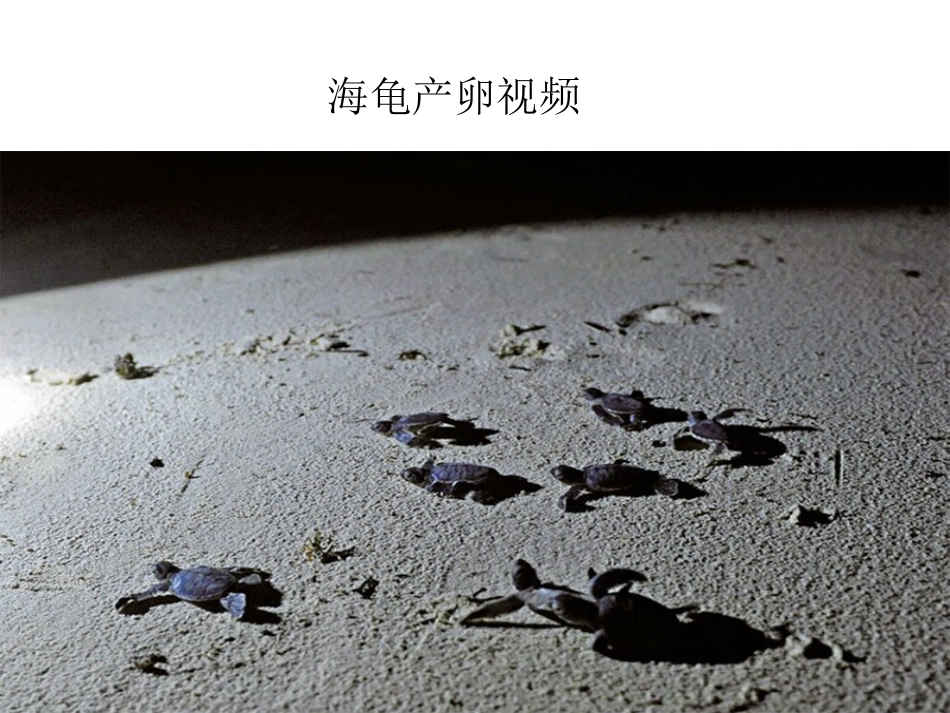 一升二的看图写话专题培训课件_第3页