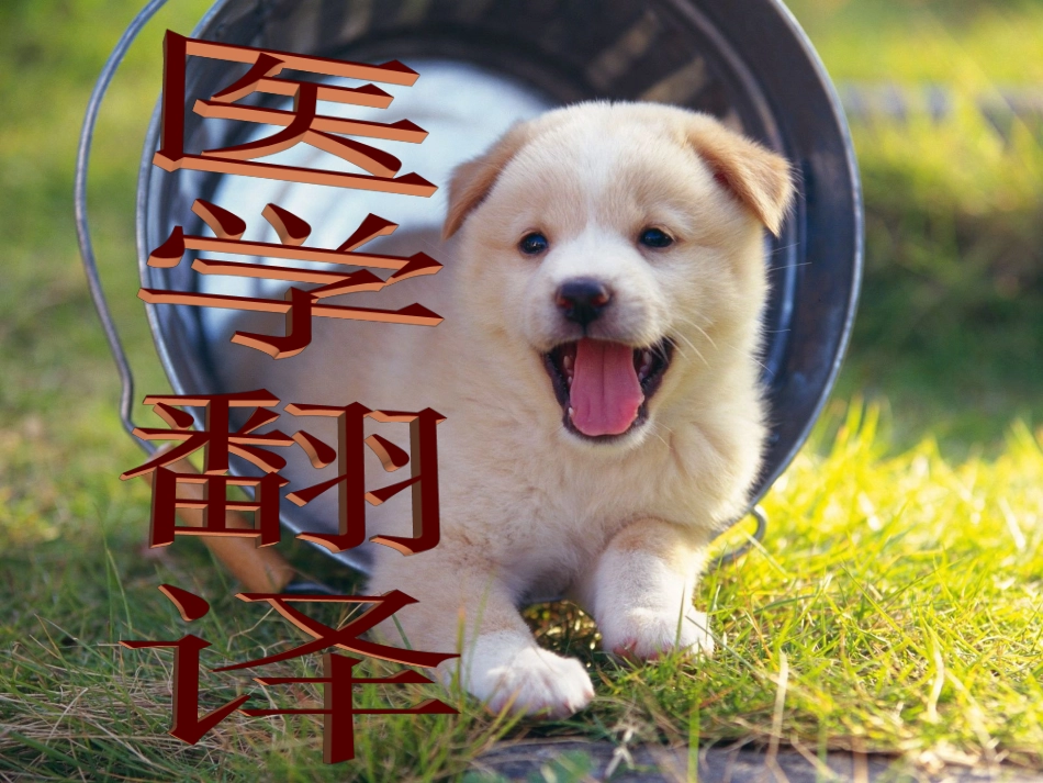 医学翻译与技巧_第1页