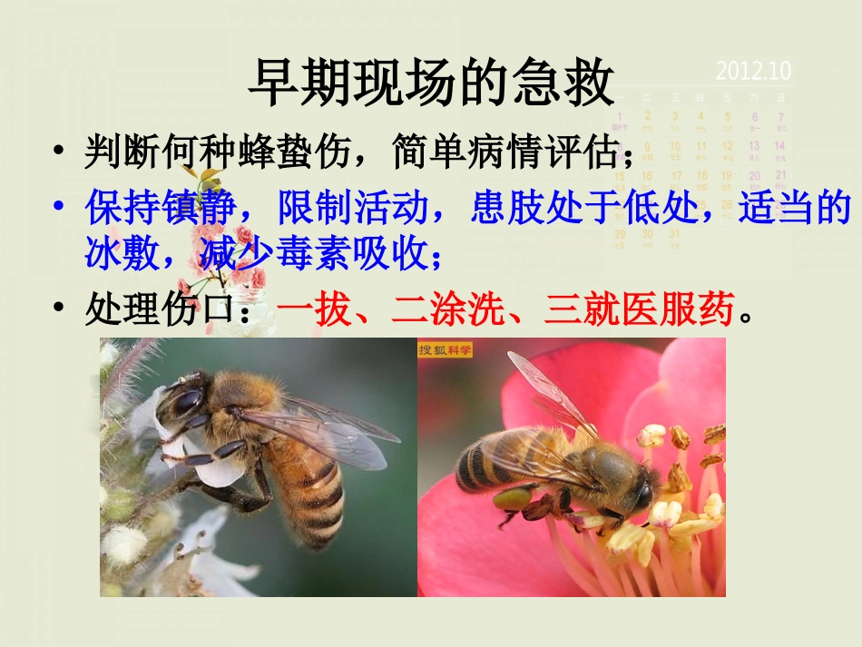 医学蜂蛰伤的急救专题课件_第2页