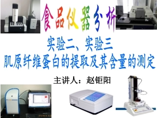 仪器分析实验课蛋白提取与测定