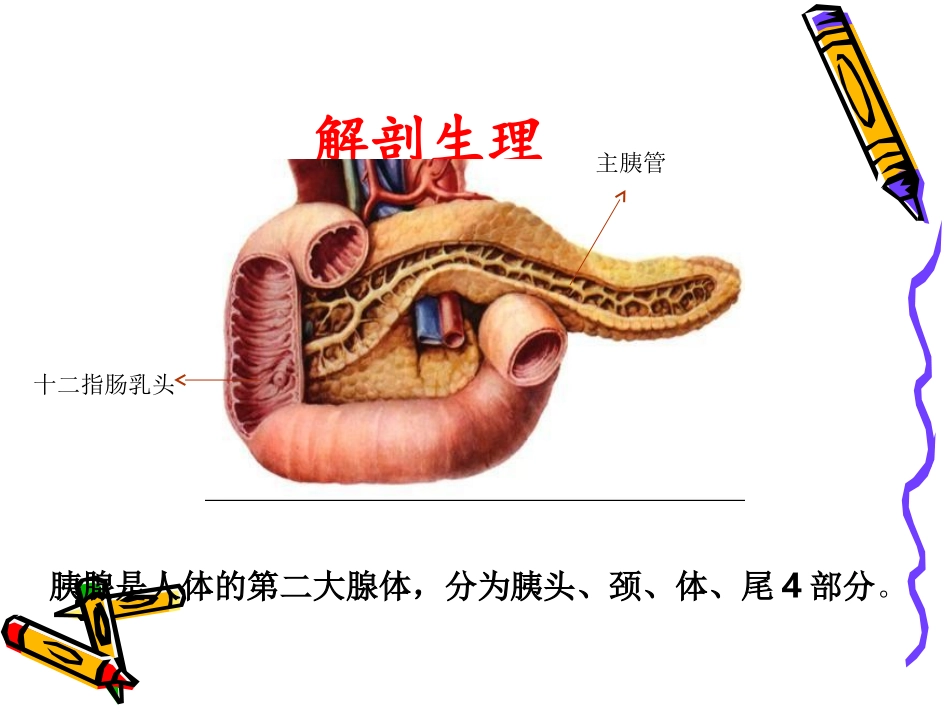 胰腺癌和壶腹周围资料_第3页