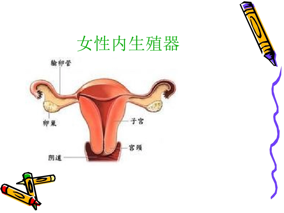 异位妊娠的护理及抢救流程_第3页