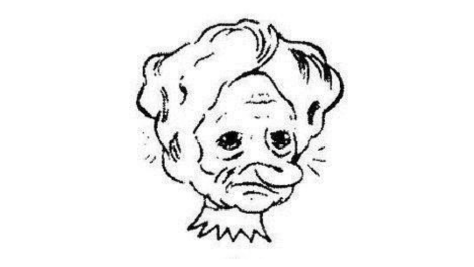 益智课堂巧放圆形_第2页