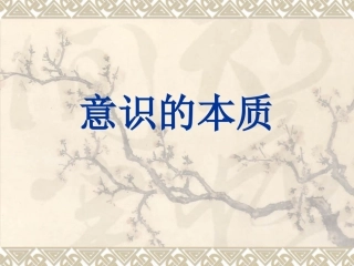 意识的本质原理