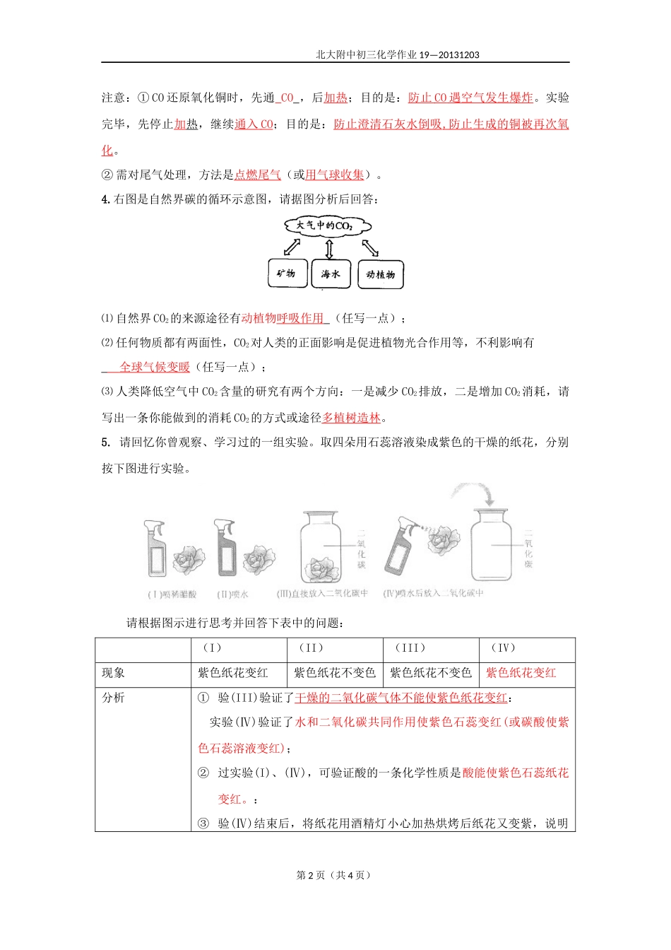 化学作业19-6.3二氧化碳和一氧化碳-答案2_第2页