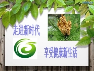 阴阳五行平衡分析