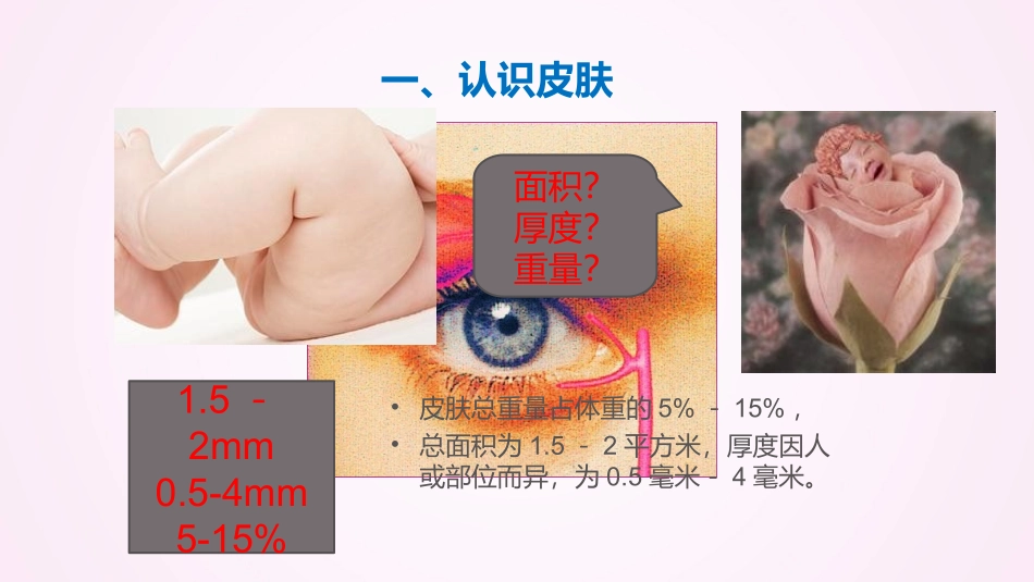 婴幼儿生理卫生婴幼儿皮肤特点和保育_第3页