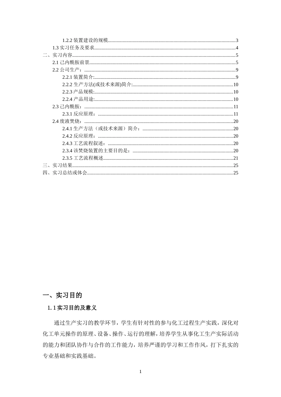 化工生产实习报告(同名18497)_第2页