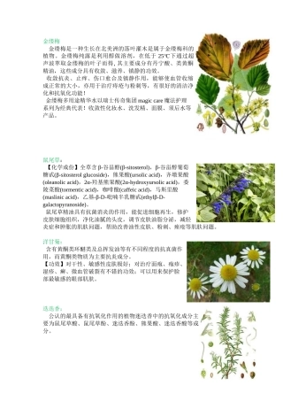 化妆品成分介绍