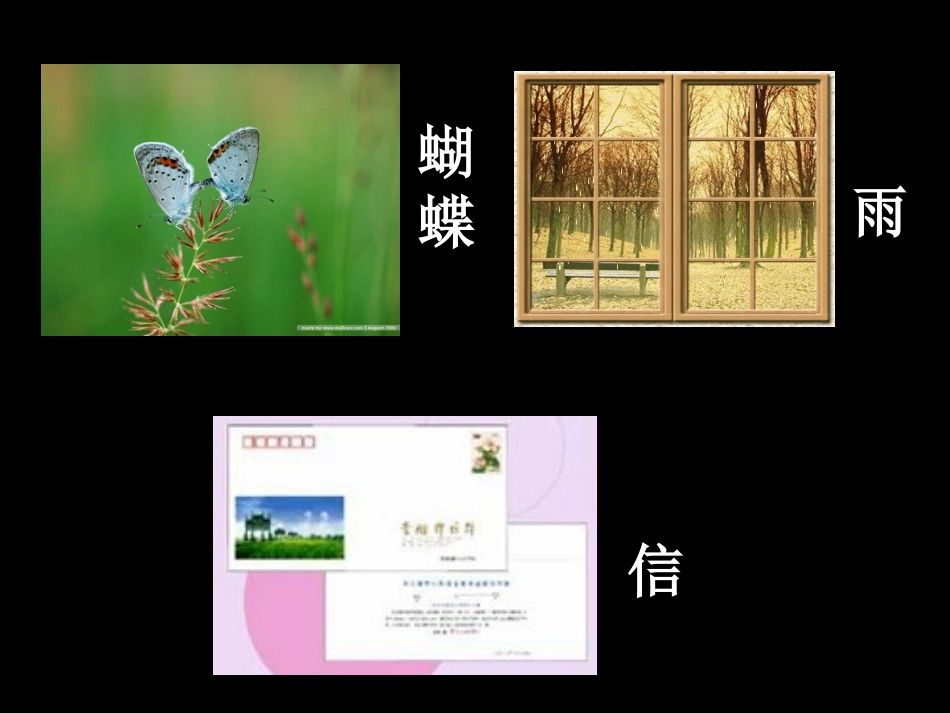 永远的蝴蝶课件_第2页