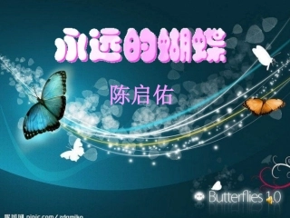 永远的蝴蝶课件