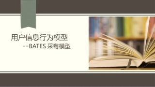 用户信息行为模型采莓模型