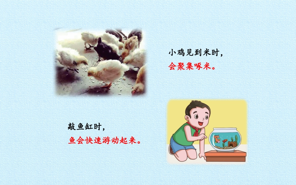 有趣的动物反应_第3页