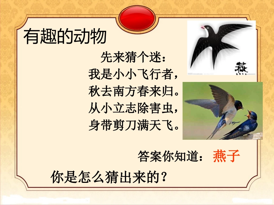 有趣的动物课件_第3页