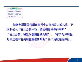 有丝分裂减数分裂图像的判断方法