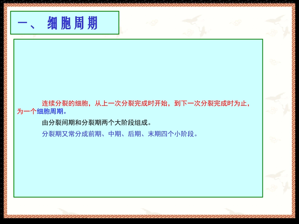 有丝分裂植物细胞_第2页