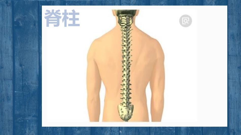 幼儿园大班健康课保护骨骼_第2页