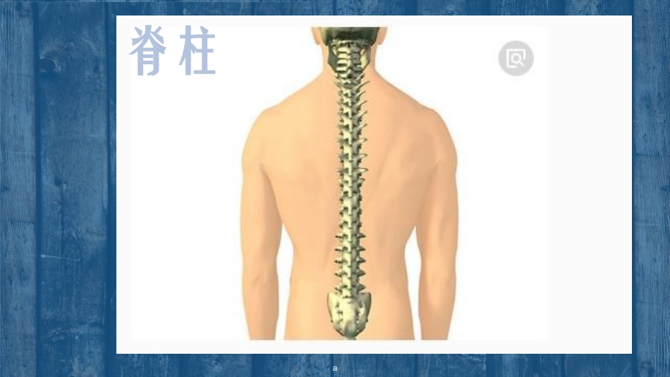 幼儿园大班健康课保护骨骼课件_第2页