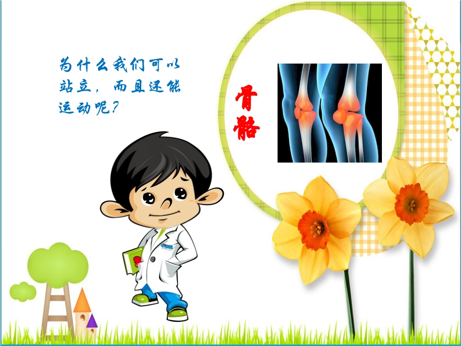 幼儿园大班科学课件人体骨骼_第3页