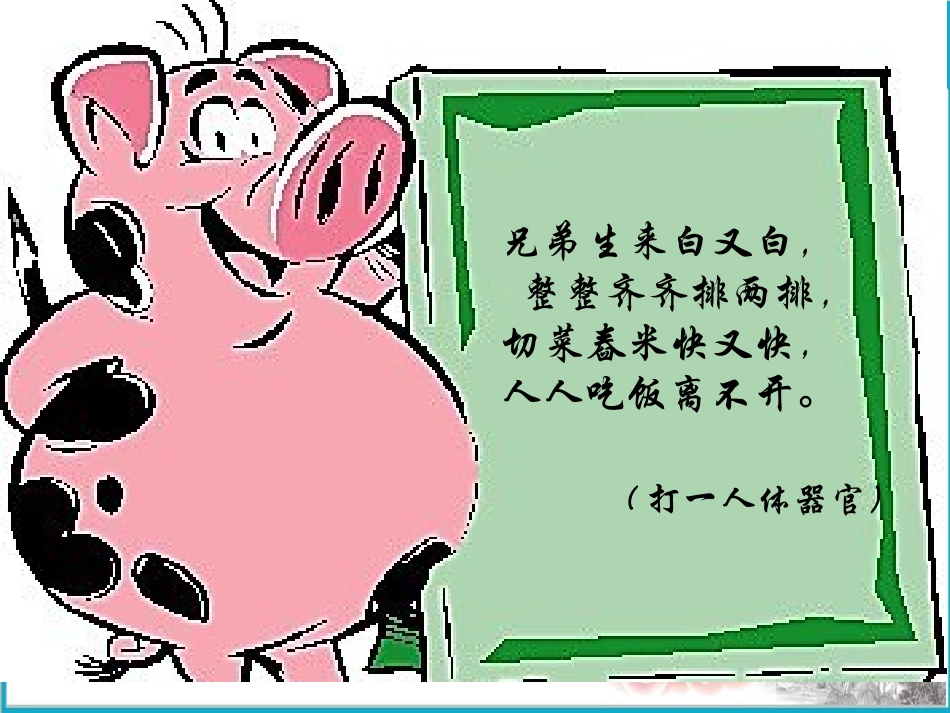 幼儿园大班科学课件牙齿_第2页