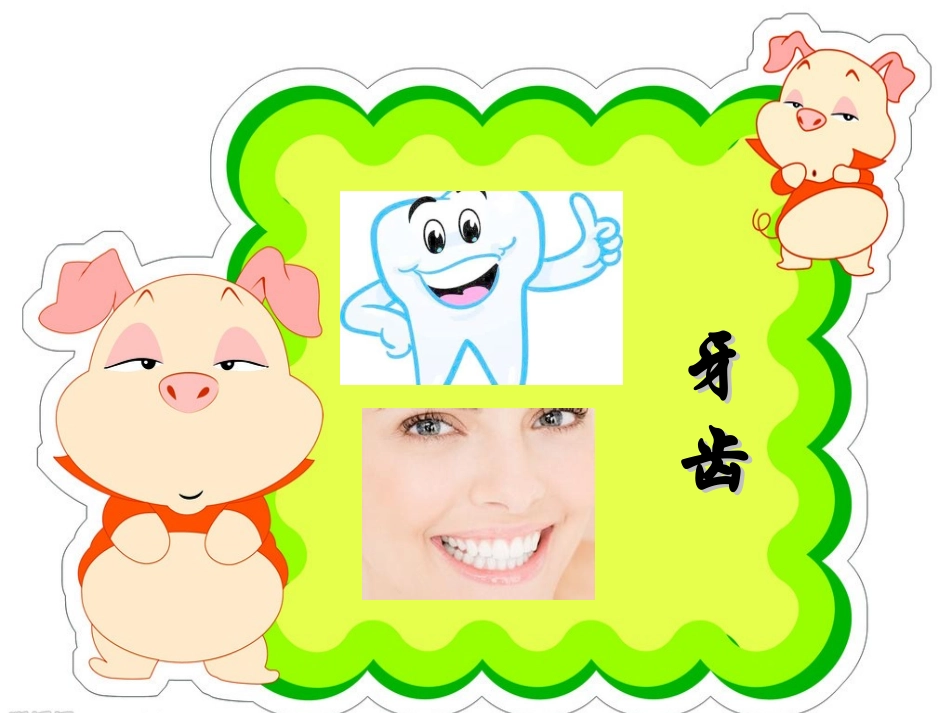 幼儿园大班科学课件牙齿_第3页