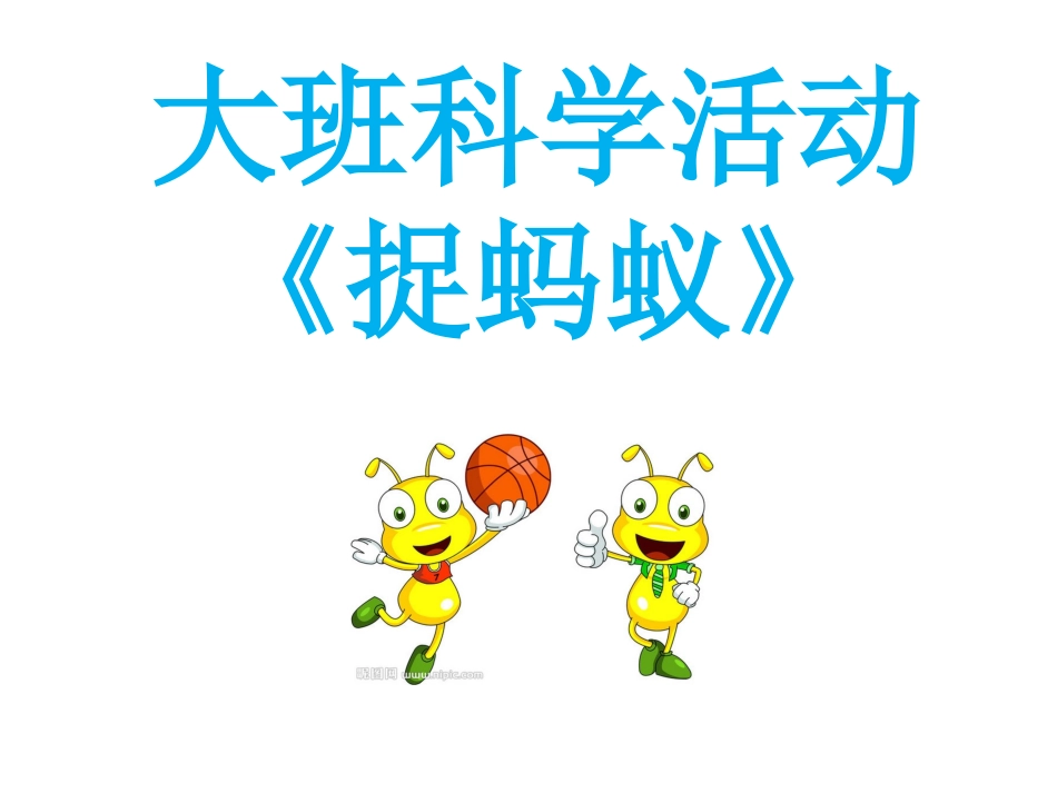 幼儿园大班科学捉蚂蚁_第1页