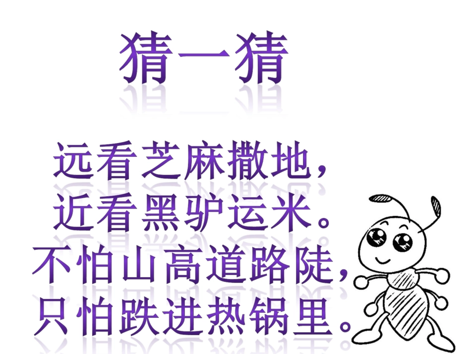 幼儿园大班科学捉蚂蚁_第2页