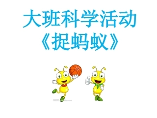 幼儿园大班科学捉蚂蚁
