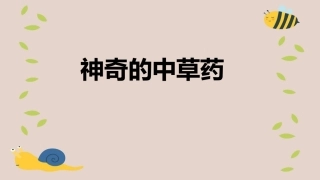 幼儿园神大班奇的中草药