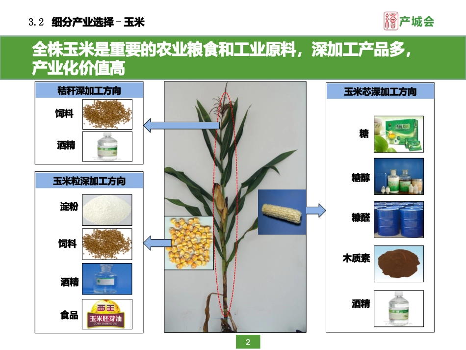 玉米细分产业链研究报告_第2页