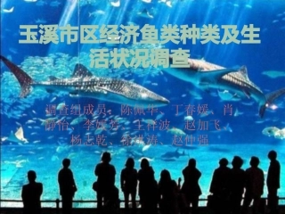 玉溪市鱼类种类调查报告