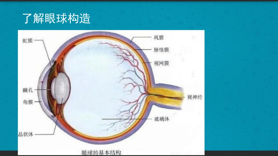 预防近视小常识_第3页