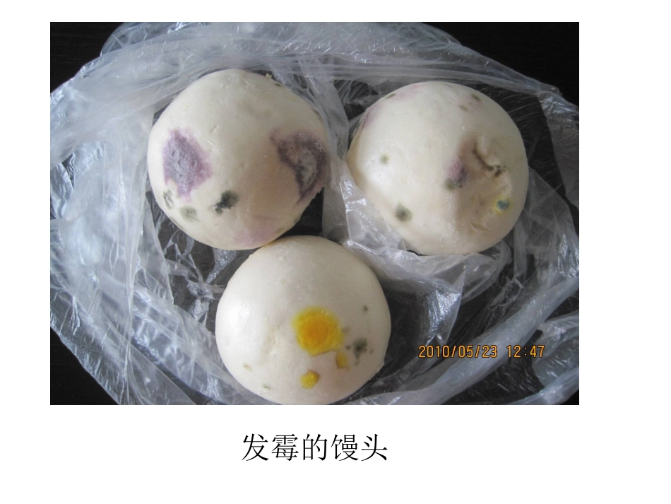 预防食物中毒课件课件_第3页