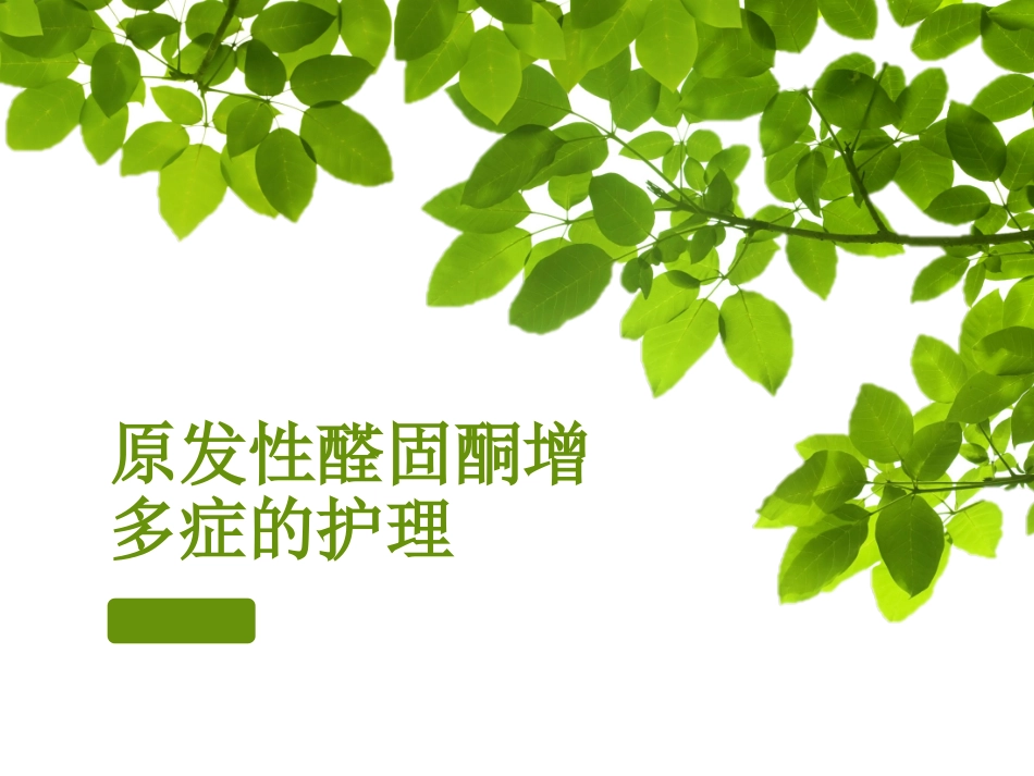 原发性醛固酮增多症的护理_第1页