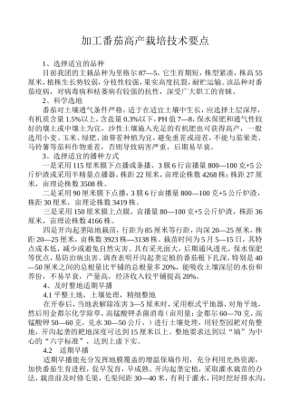加工番茄高产栽培技术要点