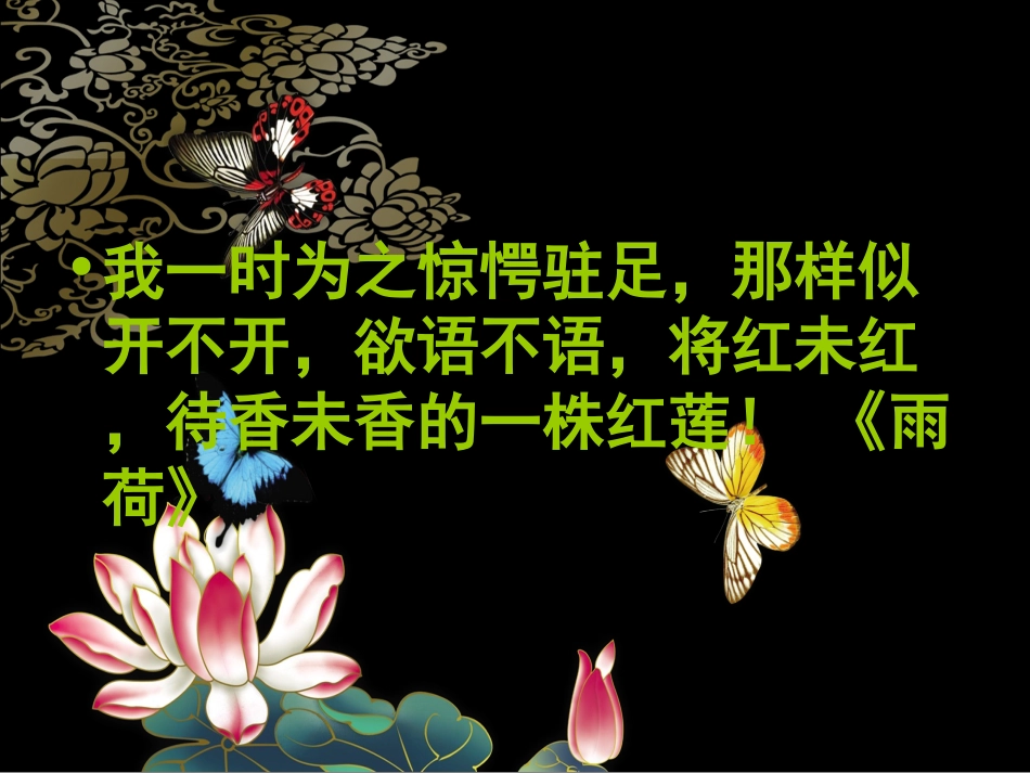 张晓风散文欣赏_第2页