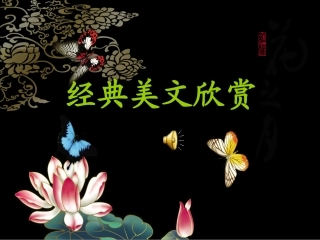 张晓风散文欣赏