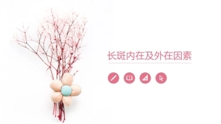 长斑内在及外在因素