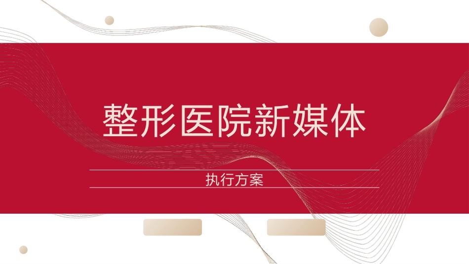 整形美容医院新媒体执行方案_第1页